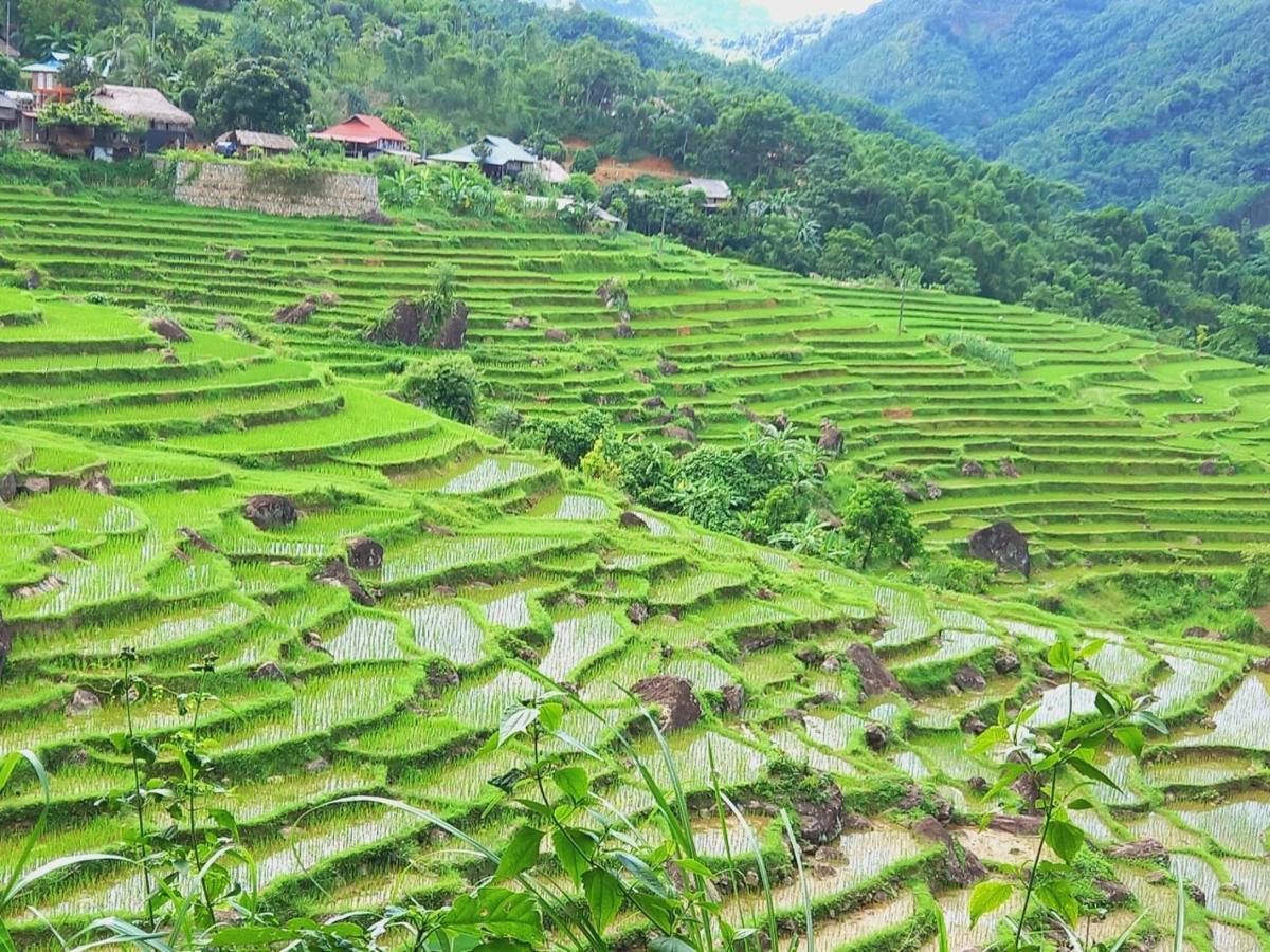Nha Tan - Mai Chau Homestay And Tours Mai Châu Exterior foto